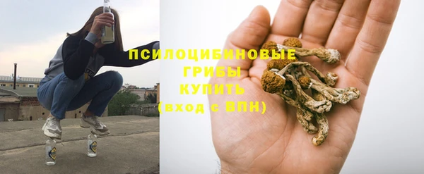 метадон Весьегонск